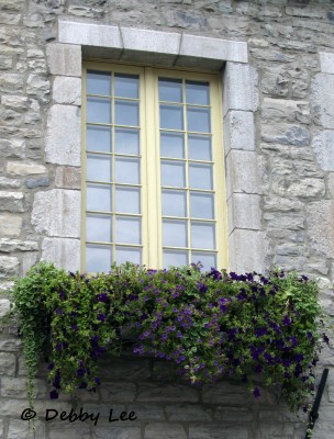 Quebec City Windows Doors 10