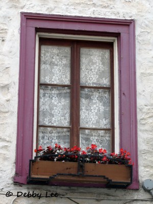 Quebec City Windows Doors 7