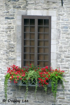 Quebec City Windows Doors 8