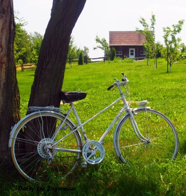 Ile d'Orleans Bicycle