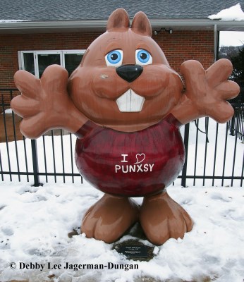 Punxsutawney Phil Groundhogs Day