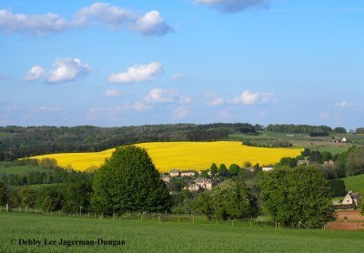 Cotswolds Rapeseed Fields