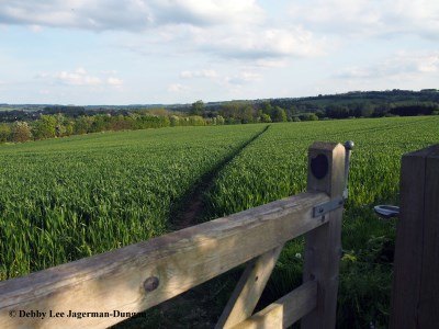 Cotswolds Path Through Crops