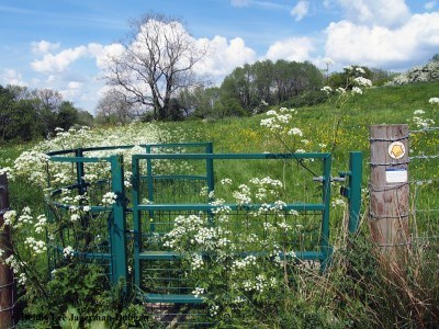 Cotswolds Kissing Gate Green
