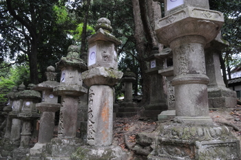 Lanterns at Kasuga Shrine