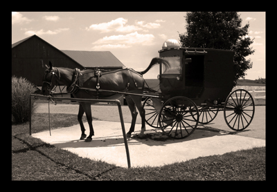Amish Horse and Buggy, Amish Country, Ohio, Charm