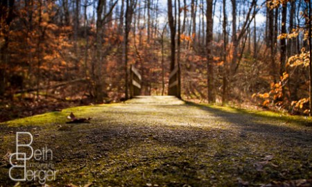 Natchez Trace Parkway, Nashville, Tennessee, Fall, Leaves, Moss, Photography, The Road, Travel, Road Trip