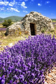 Rustic Dwelling