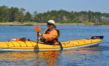 sea-kayaking-victoria-activities-ocean-river-adventures