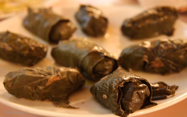 Armenian Dolma