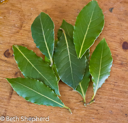 Bay Laurel leaves