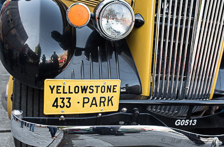 Yellowstone park bus