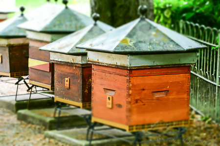Beautiful bee boxes