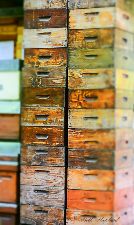 Bee houses Jardin du Luxembourg
