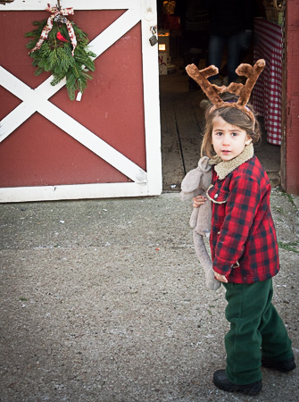 Christmas tree hunting 2014 reindeer