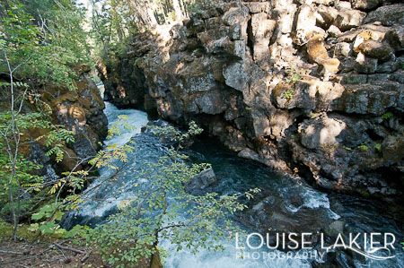 The Rogue River, Motel Del Rogue, Oregon, Grants Pass, Crater Lake National Park, Wild and Scenic Rivers
