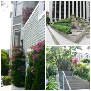 San Francisco gardens