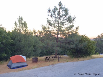 Camping Tent Henry Coe