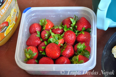 Strawberries Camp Yosemite