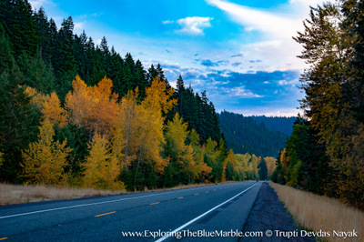 Willamette Valley Fall Colors in Oregon