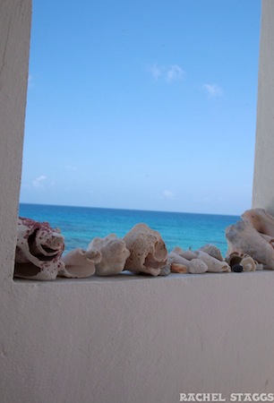 shells caribbean sea isla mujeres boutique hotel