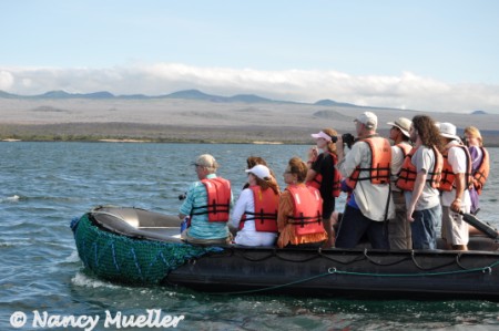 QuasarExpeditionsWhale-Watching (450 x 299)