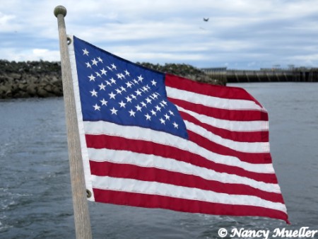 U.S. American Flag Plover Ferry