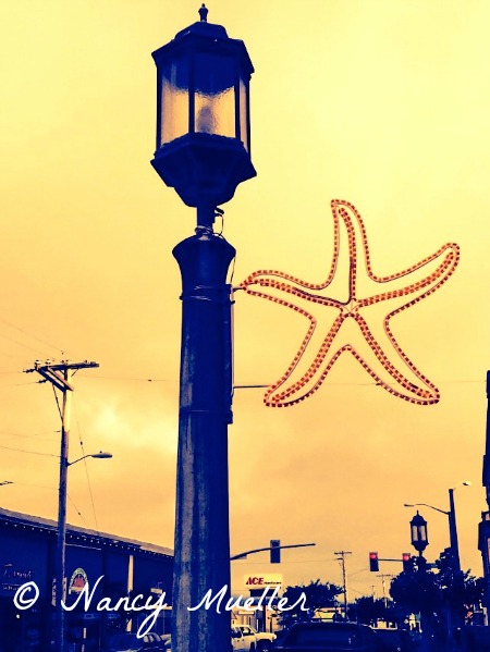 Seaside Starfish Sign