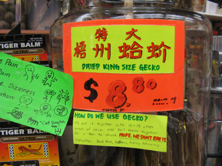 How to use gecko, Guohua herbalist, Vancouver Chinatown