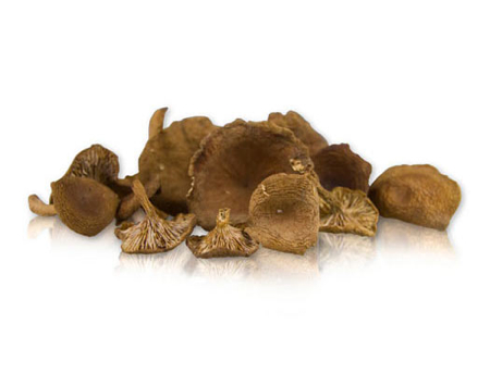 Candy Cap Mushrooms from Marx Foods