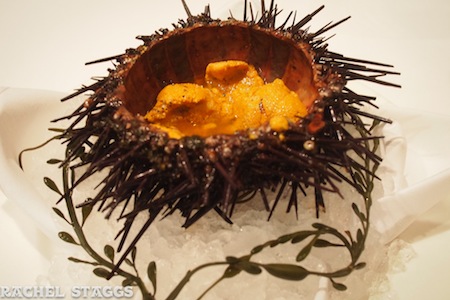 Sea urchin at ESCA in NYC