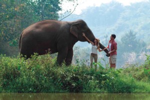 Getting married in Thailand with elephants