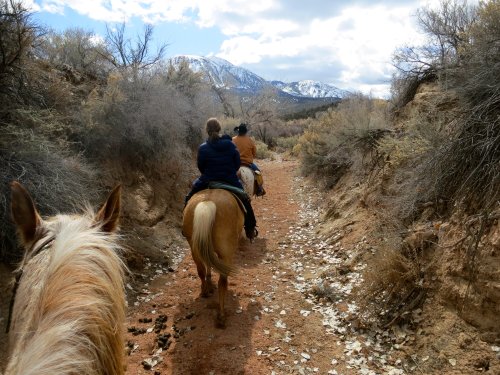 Canyon Trails Ranch horseback ride