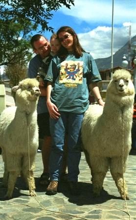 Peru with Kids Huaraz Llamas