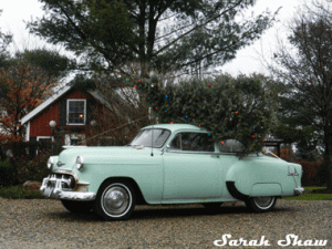 Old Chevy and a Christmas Tree