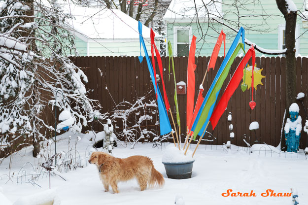 Colorful flags in a winter yard