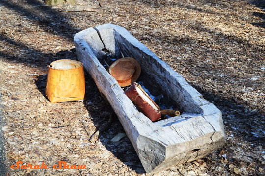 Dug out wooden trough was used my Native Americans to store maple sap to be turned into syrup - at the Fenner Nature Center