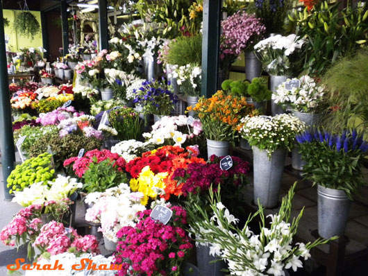 Flower Market in Paris, France