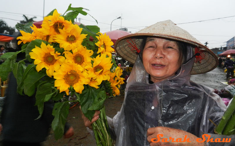 Securing her sunflowers, a woman heads out of the Hanoi Flower Marker