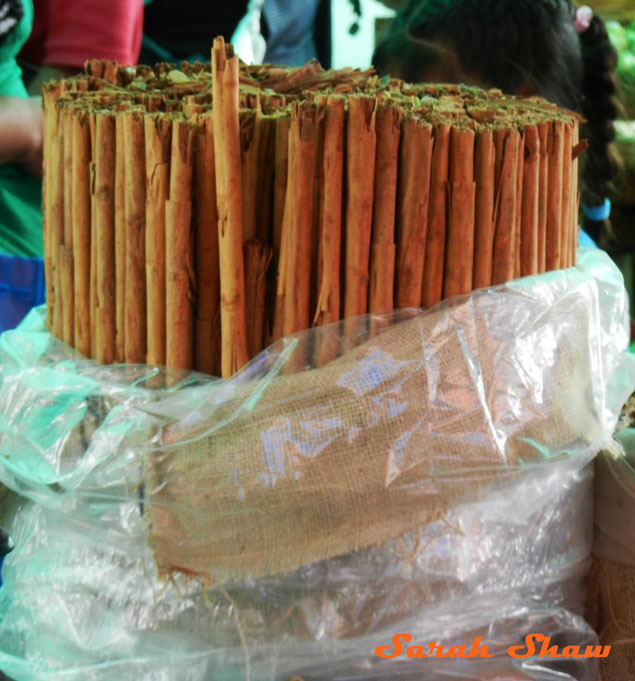 Large cinnamon sticks for sale at a local market in Oaxaca, Mexico