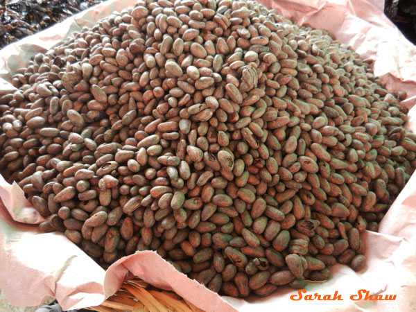 Cocoa beans for sale at a local market in Oaxaca, Mexico