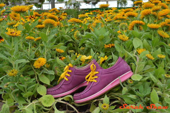 ECCO Mind shoes with black eyed susans