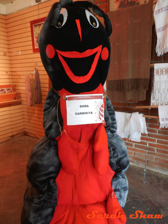 Dona Carmimita is the cochcineal mascot