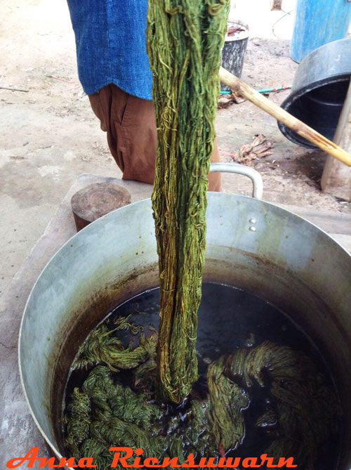 Dyeing organic cotton yarn