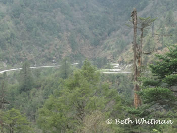 Bhutan Road