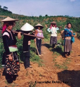 Vietman Women Fields 3