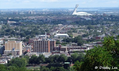 Montreal View