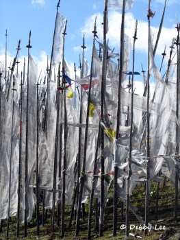 Manidhar Prayer Flags Bhutan