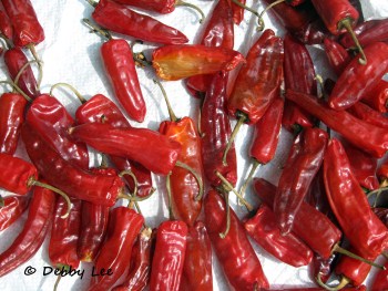 Bhutanese Red Chilies