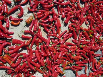 Bhutanese Red Chilies